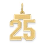 14k Small Satin Number 25 Charm