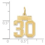 14k Small Satin Number 30 Charm - Image 4