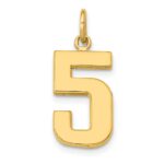 14k Medium Polished Number 5 Charm