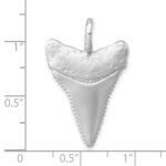 Sterling Silver Rhodium-Plated Brushed and Polished Great White Shark Tooth Pendant - Image 5