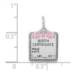 Sterling Silver Rhodium-plated Pink Birth Certificate Polished Charm - Image 4