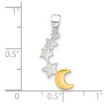 Sterling Silver E-Coat and Gold-tone Star and Moon Pendant - Image 4