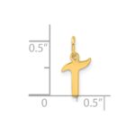 Sterling Silver Gold-tone Polished Letter T Initial Charm - Image 4