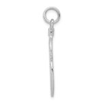 Sterling Silver Rhodium-platedPolished Feather Charm - Image 2