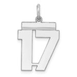 Sterling/Silver Rhodium-plated Polished Number 17 Charm