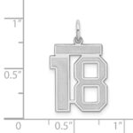 Sterling Silver/Rhodium-plated Satin Number 18 Charm - Image 3