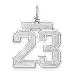 Sterling Silver/Gold-plated Satin Number 23 Charm