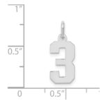 Sterling Silver/Rhodium-plated Polished Number 3 Charm - Image 3