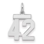 Sterling Silver/Rhodium-plated Polished Number 42 Charm