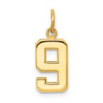 14k Small Polished Number 9 Charm