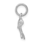 14k White Gold Dolphin Charm - Image 2