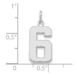 14kw Medium Polished Number 6 Charm - Image 4
