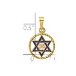 14k Polished Solid Blue Enameled Star of David in Circle Frame Pendant - Image 3