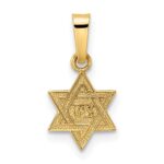 14k Polished and Textured Solid Star of David Pendant