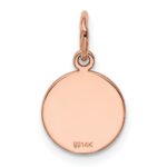 14k Rose Gold Plain .009 Gauge Round Engraveable 10mm Disc Charm - Image 3