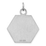 Sterling Silver Rhodium-plated Medical Jewelry Pendant - Image 3